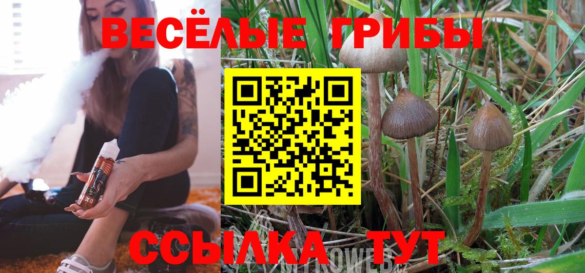 Галлюциногенные грибы ЛСД Красноярск