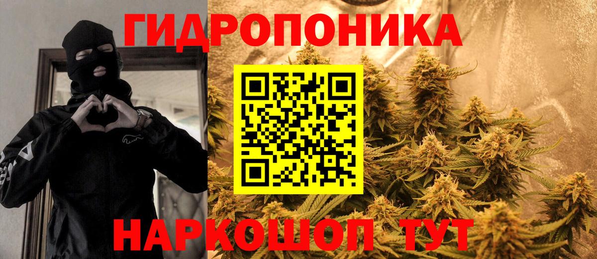 Конопля сатива  Бошки марихуана индика  Шишки марихуана White Widow  Красноярск  Вход с VPN 
